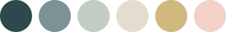 Colorful Circles